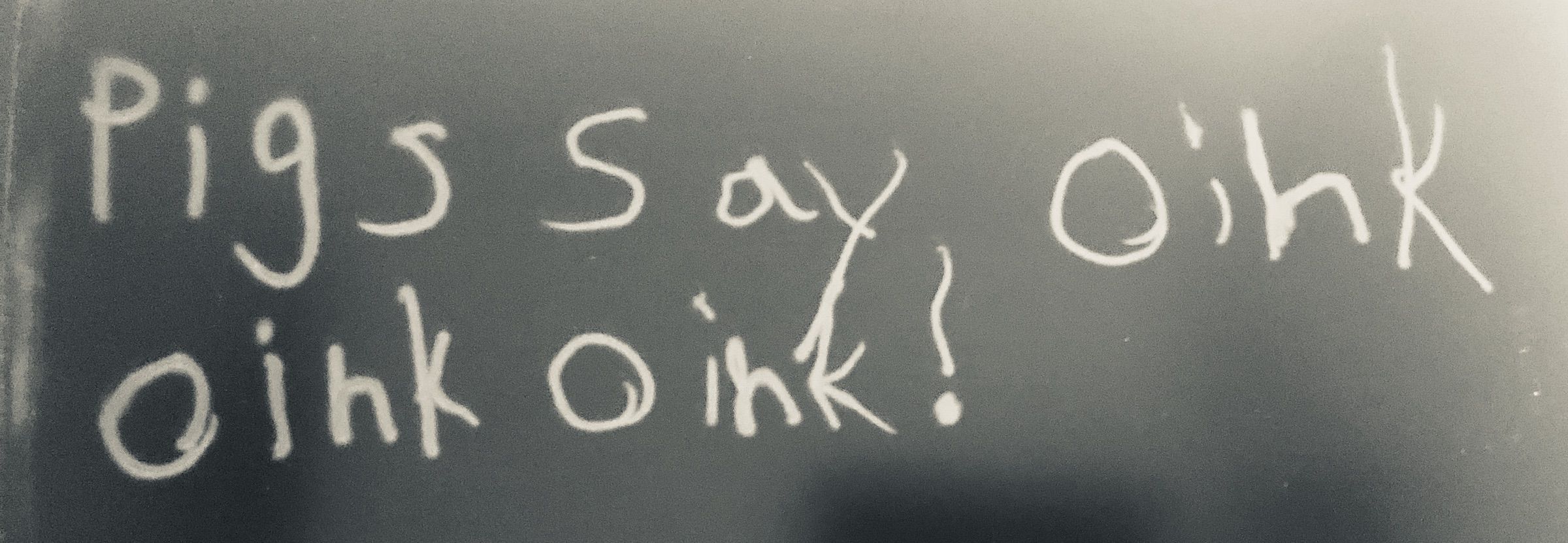 hand written pigs say oink oink oink